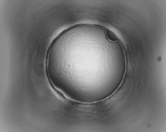 X0000090451237200707272209