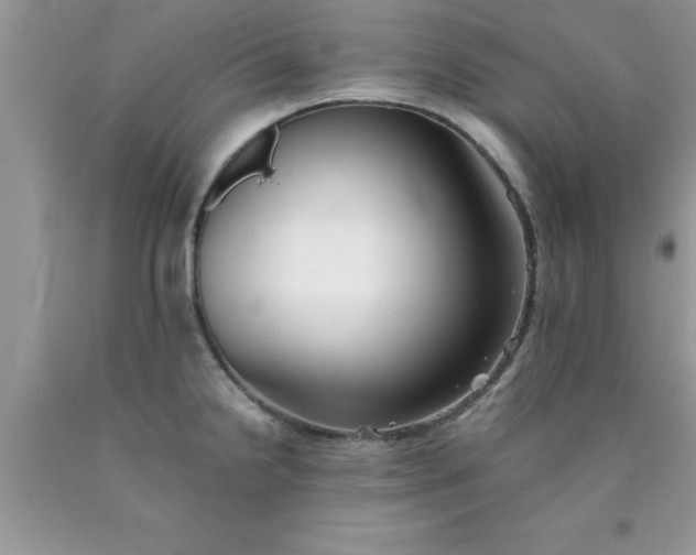 X0000090451238200707272209