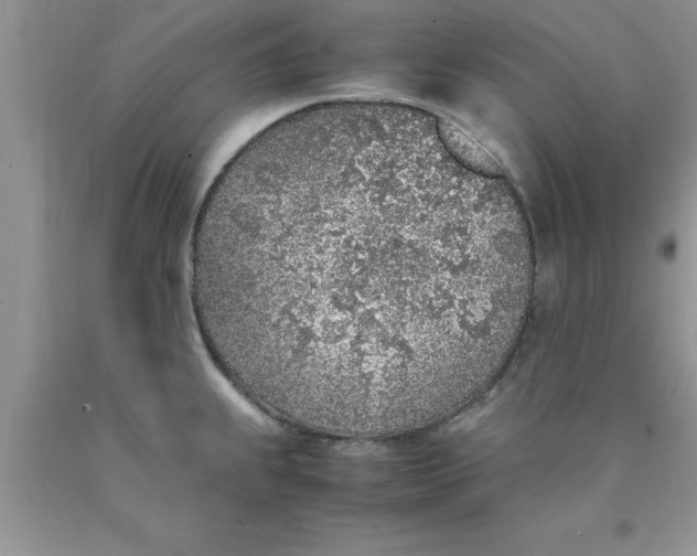 X0000090451239200707272209