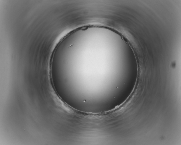 X0000090451240200707272209