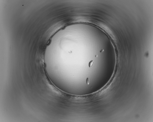 X0000090451241200707272209