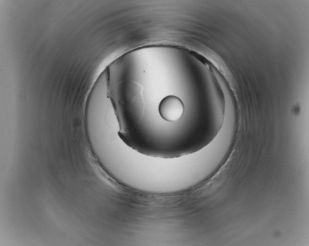 X0000090451242200707272209