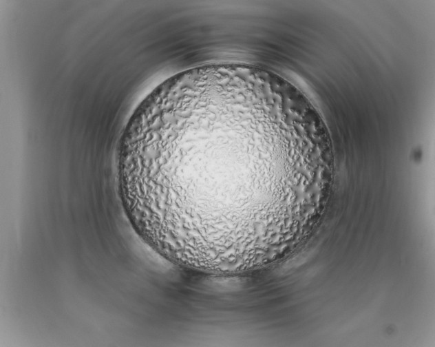 X0000090451243200707272209