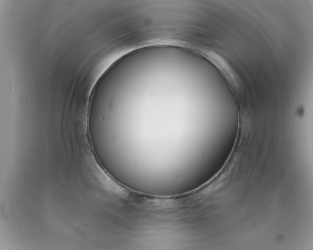 X0000090451244200707272209