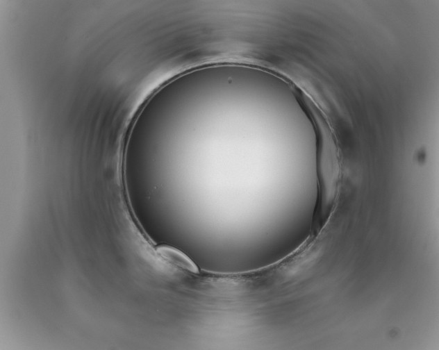 X0000090451246200707272209