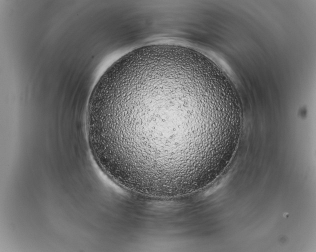 X0000090451247200707272209