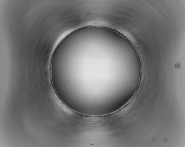 X0000090451248200707272209