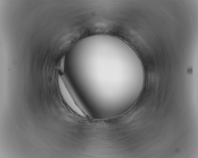 X0000090451250200707272208