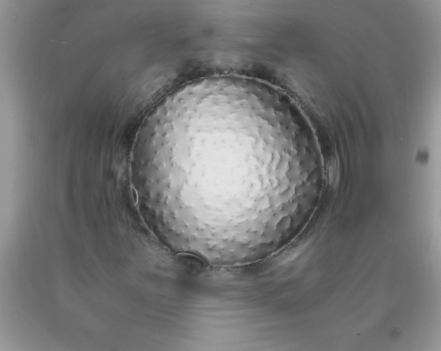 X0000090451251200707272208