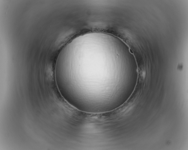 X0000090451252200707272208