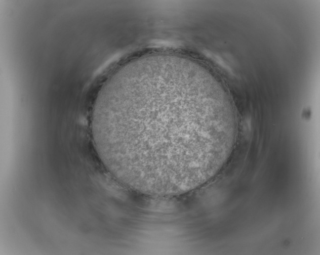 X0000090451254200707272208