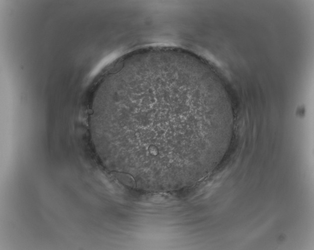 X0000090451255200707272208