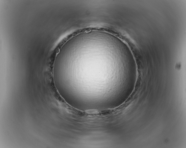 X0000090451256200707272208