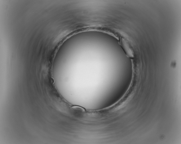 X0000090451257200707272208