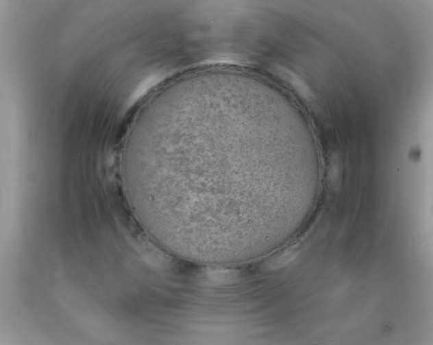 X0000090451258200707272208