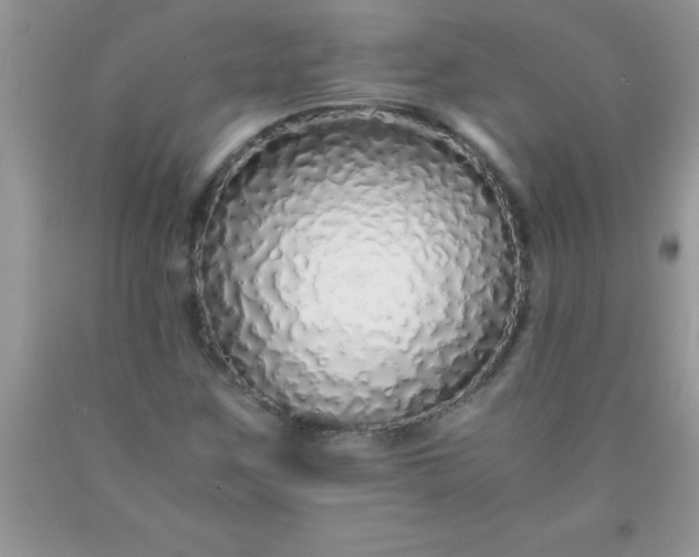 X0000090451259200707272208