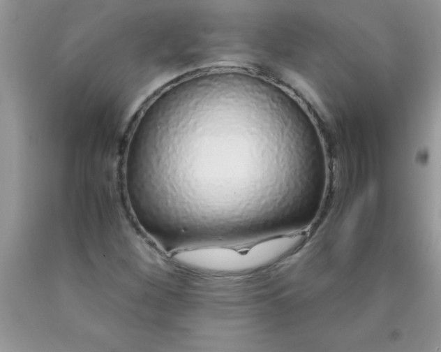 X0000090451260200707272208