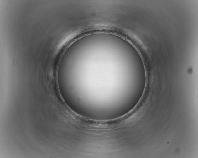 X0000090451261200707272208