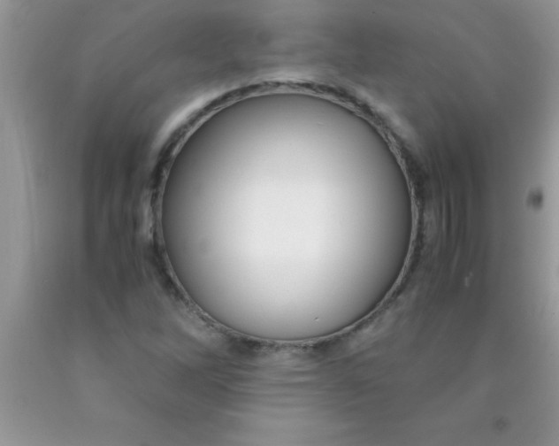 X0000090451262200707272208