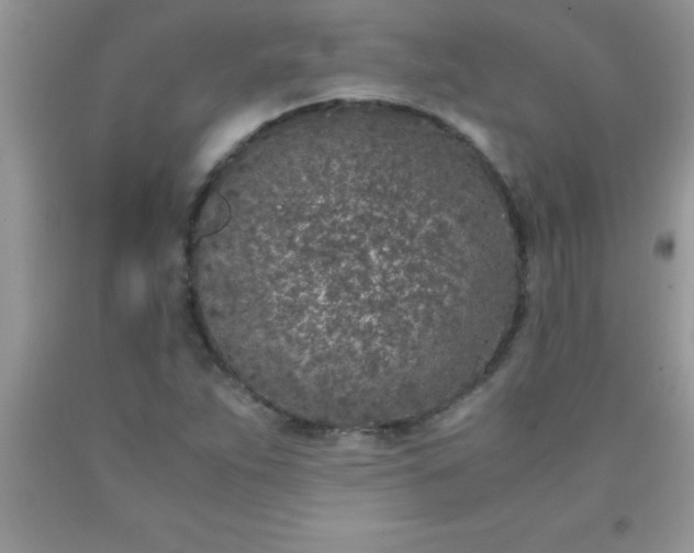 X0000090451263200707272208