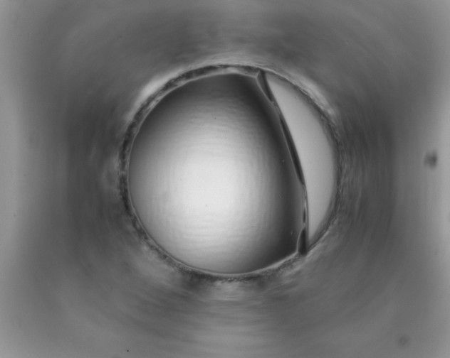 X0000090451264200707272208