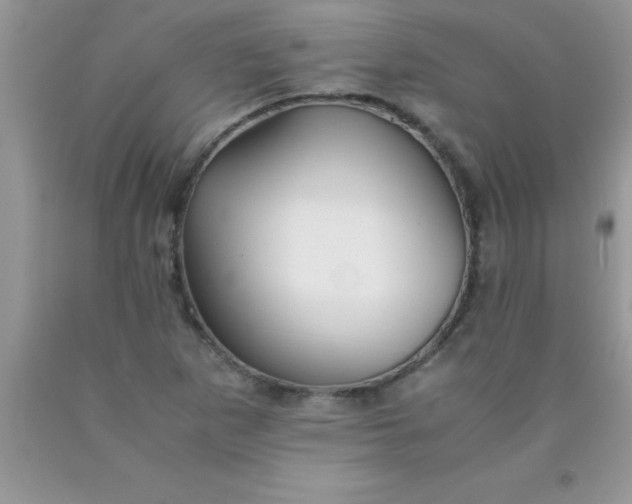 X0000090451265200707272208