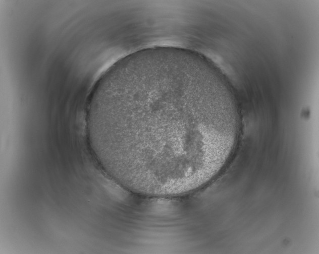 X0000090451266200707272208