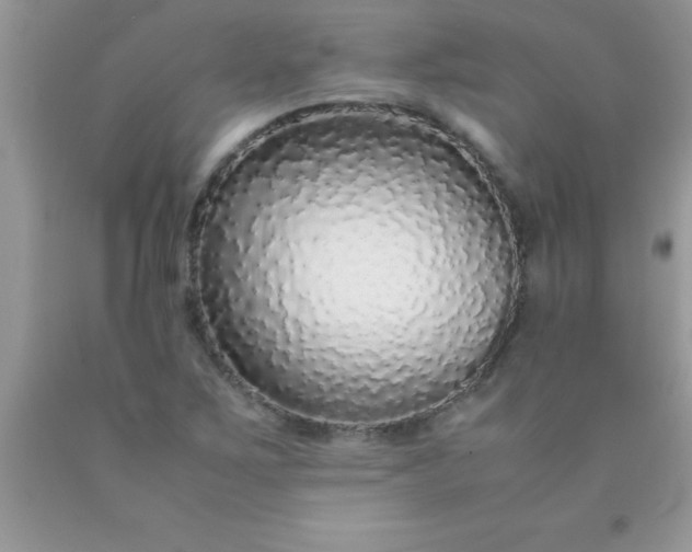 X0000090451267200707272208