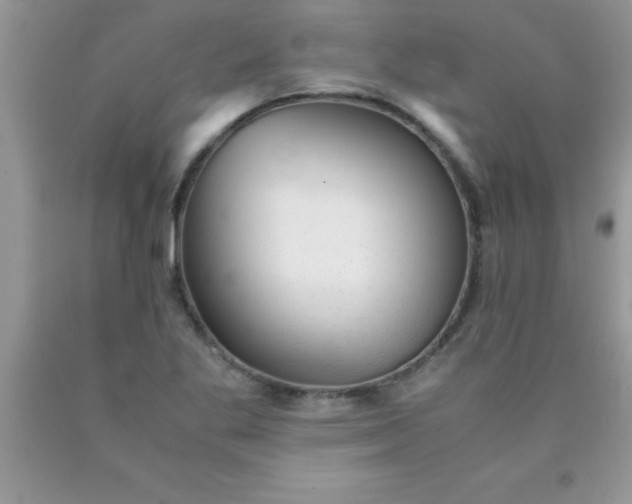 X0000090451269200707272208