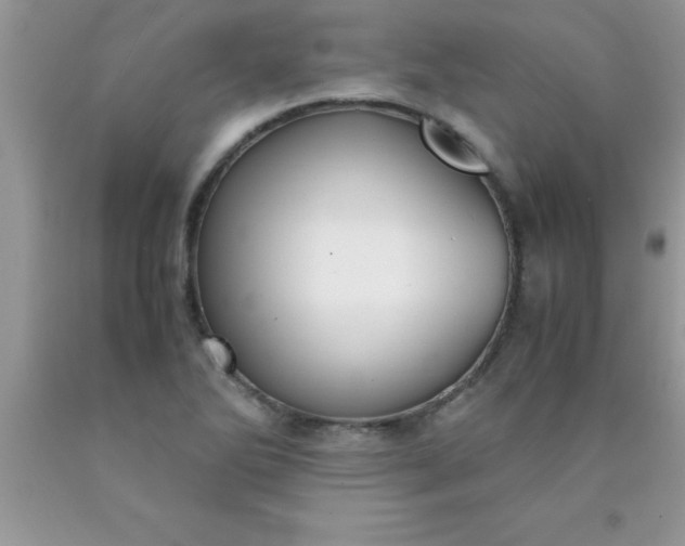 X0000090451270200707272208