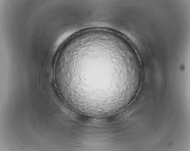 X0000090451271200707272208