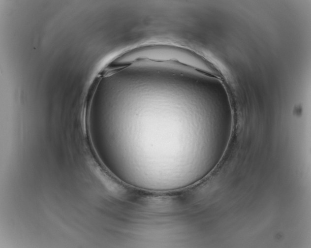 X0000090451272200707272208