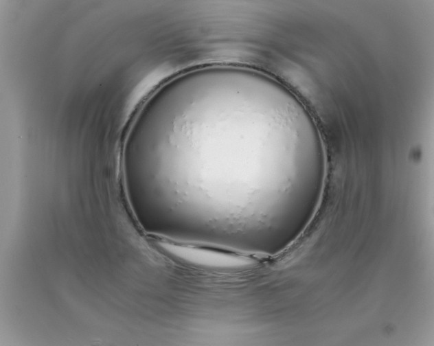 X0000090451275200707272208