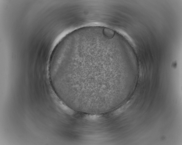 X0000090451278200707272208