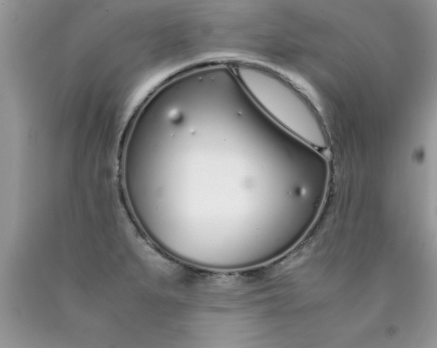 X0000090451279200707272208