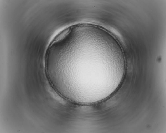 X0000090451280200707272208