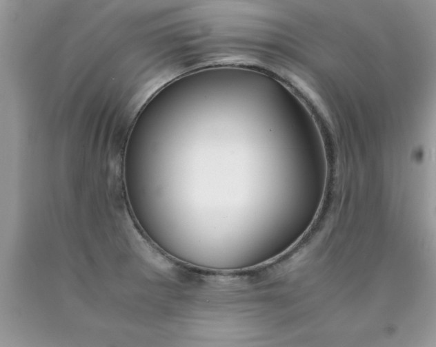 X0000090451281200707272208