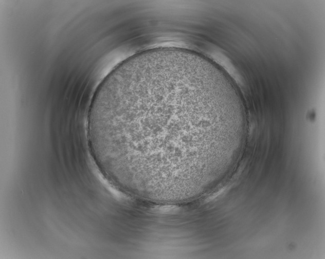 X0000090451282200707272208