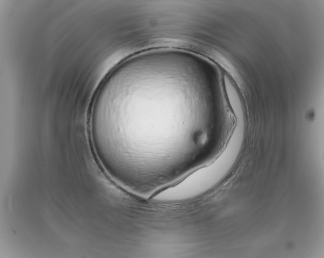 X0000090451283200707272208