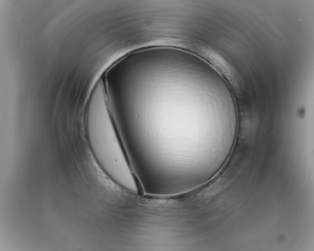 X0000090451284200707272208