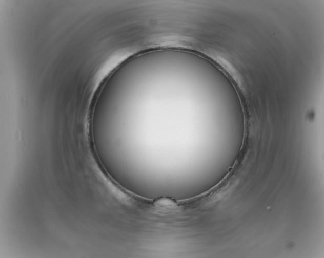 X0000090451285200707272208