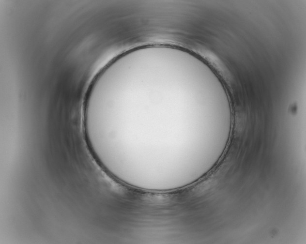 X0000090451286200707272208