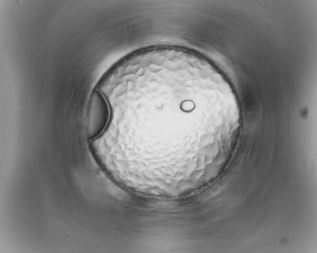 X0000090451287200707272208