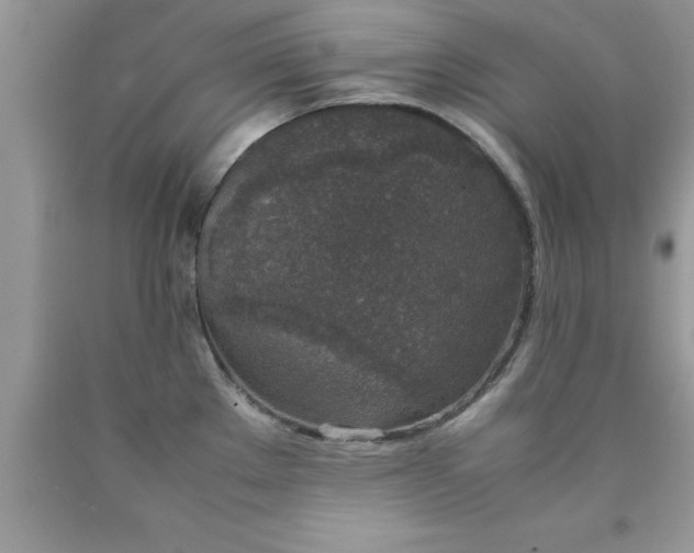 X0000090451289200707272208