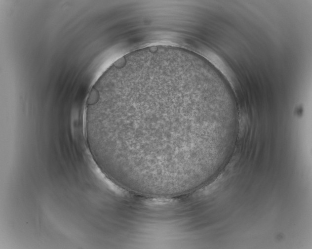 X0000090451290200707272208