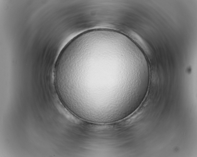 X0000090451292200707272208