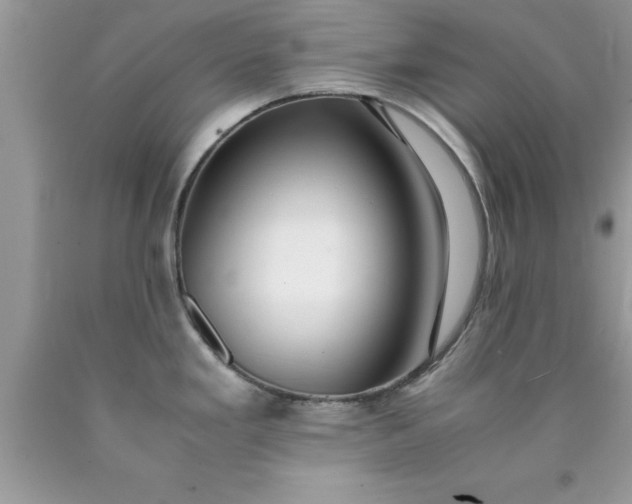 X0000090451293200707272208