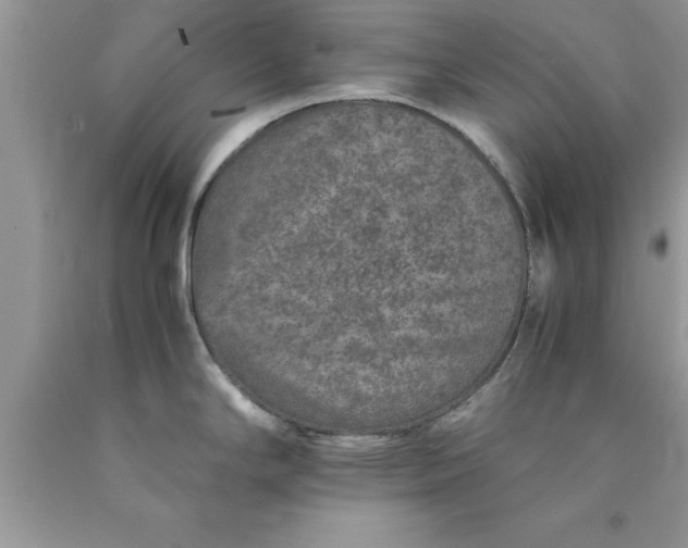 X0000090451294200707272208