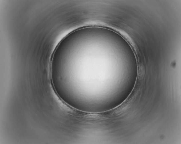 X0000090451295200707272208