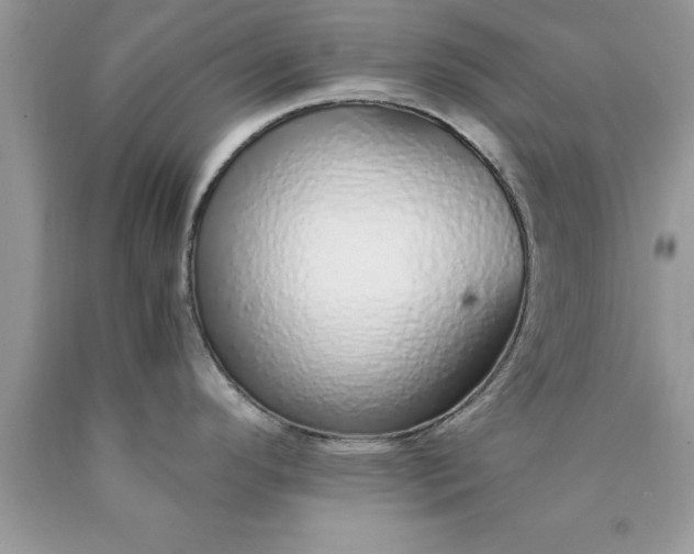 X0000090451296200707272208